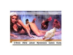 Seksowna modelka, ziarno i kury... Zobacz kuriozalną reklamę ubojni