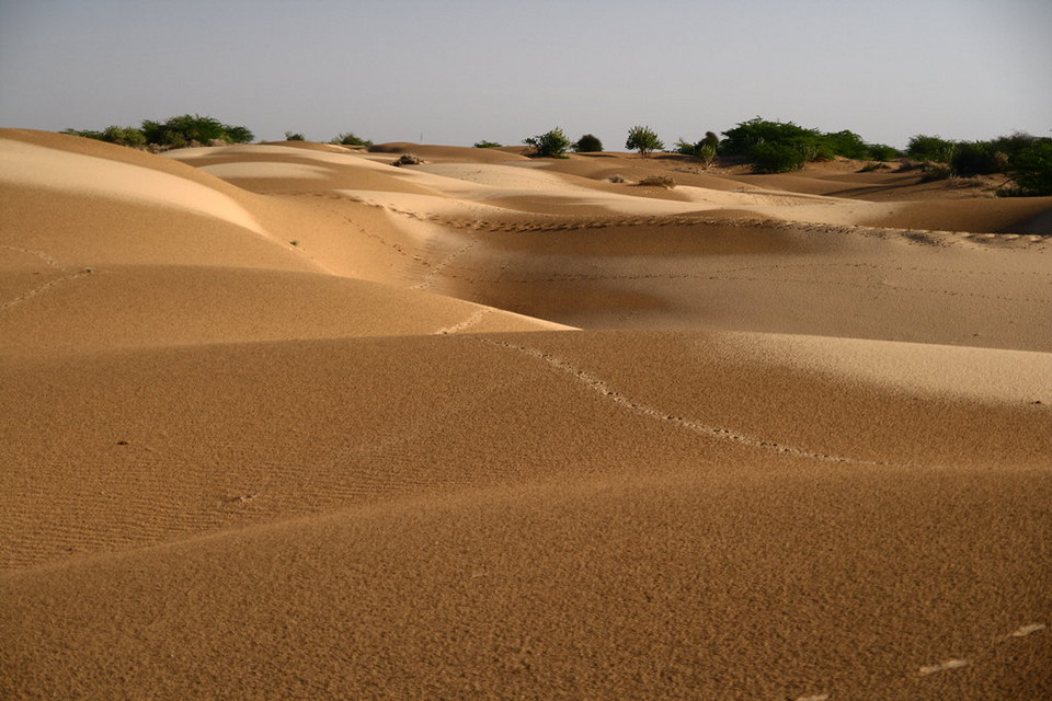 Jaisalmer