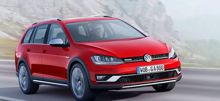 Volkswagen Golf Alltrack na cztery łapy