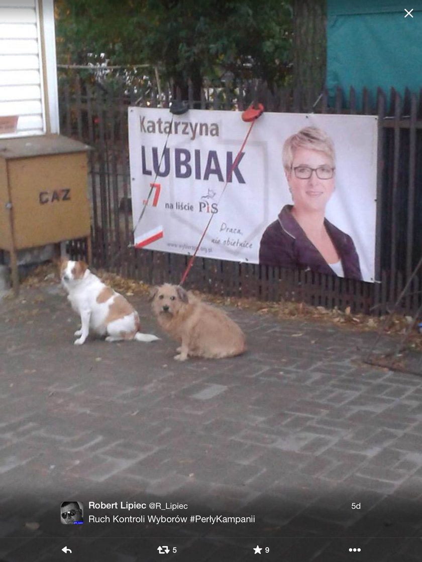 Śmieszne plakaty wyborcze