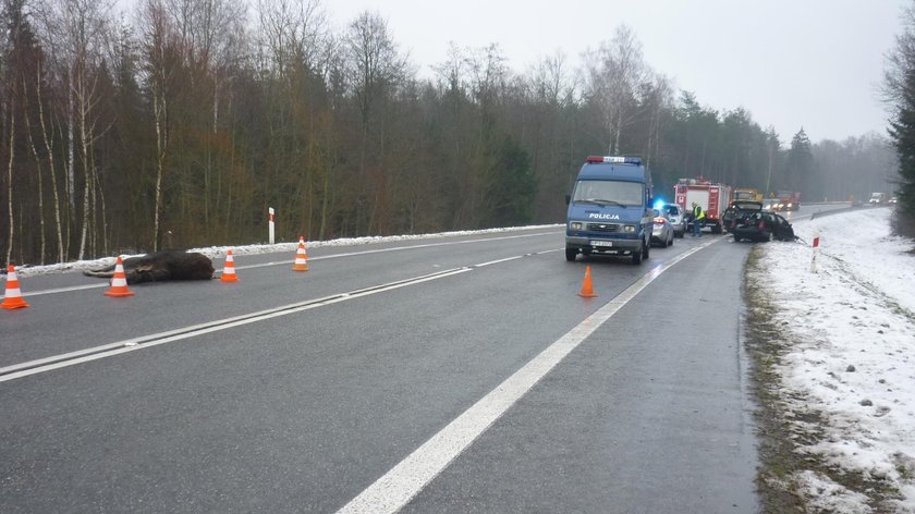 5 osób trafiło do szpitala