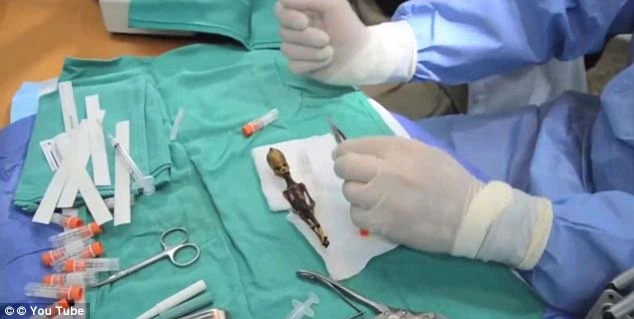 Czy to kosmita? Naukowcy rozwiązali zagadkę mumii z Atakamy ...