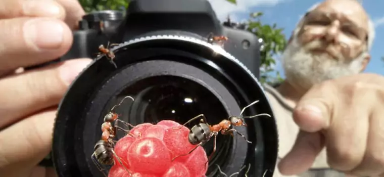 Obiektyw makro — co to jest i do czego służy?