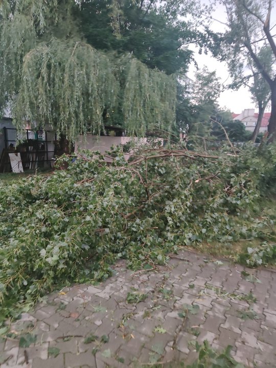 Nawałnica spustoszyła Osiedle Podwawelskie