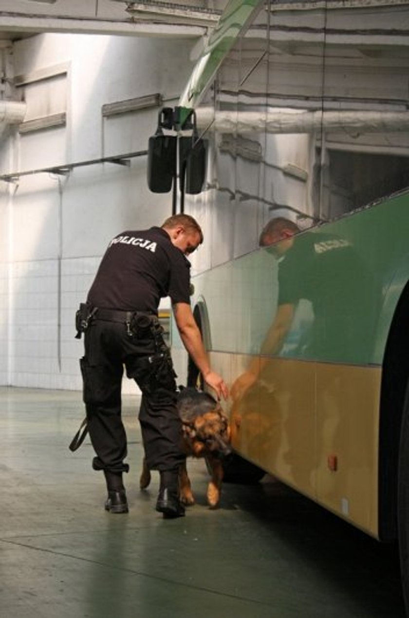 Psy policyjne odbyły szkolenie w autobusach MPK