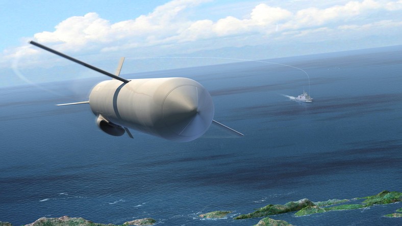 Brytyjski MON szuka pocisków Storm Shadow. Ukraina mogłaby nimi ...