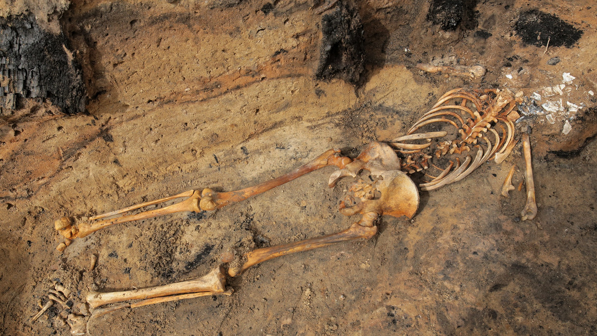 Archeolodzy prowadzący wykopaliska pod Barczewkiem odkryli szkielet człowieka, który zginął w 1354 r. podczas najazdu Litwinów. Miejsce to nazywane jest "warmińskimi Pompejami", bo zgliszcza zniszczonego wówczas miasta zachowały się w nienaruszonej formie.