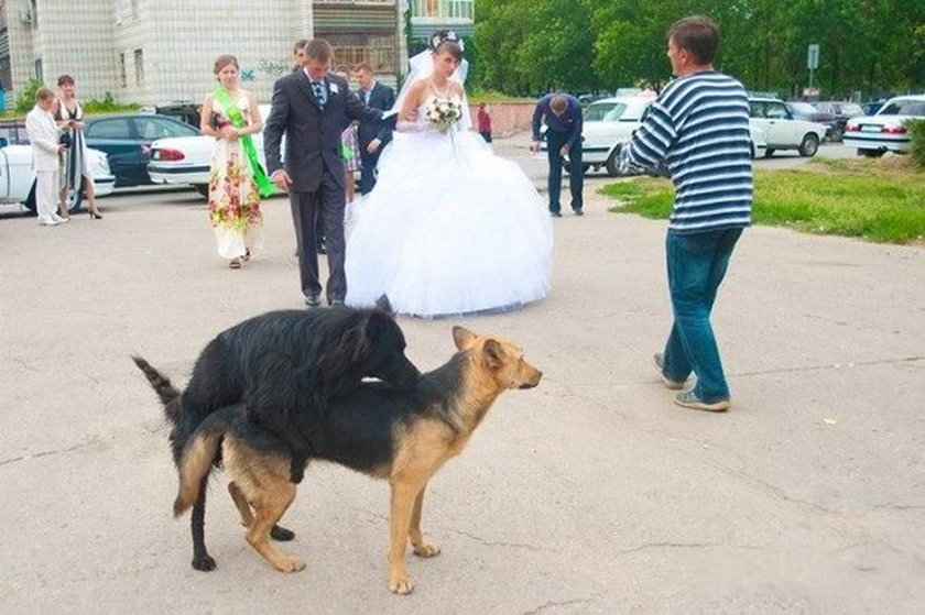 Najgorsze ślubne zdjęcia z Rosji!