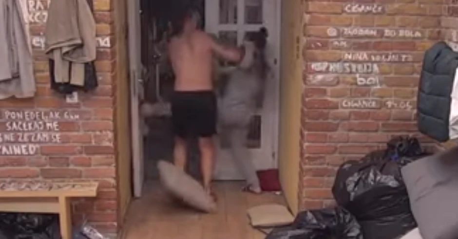 Sanja i Marko - haos u Zadruzi