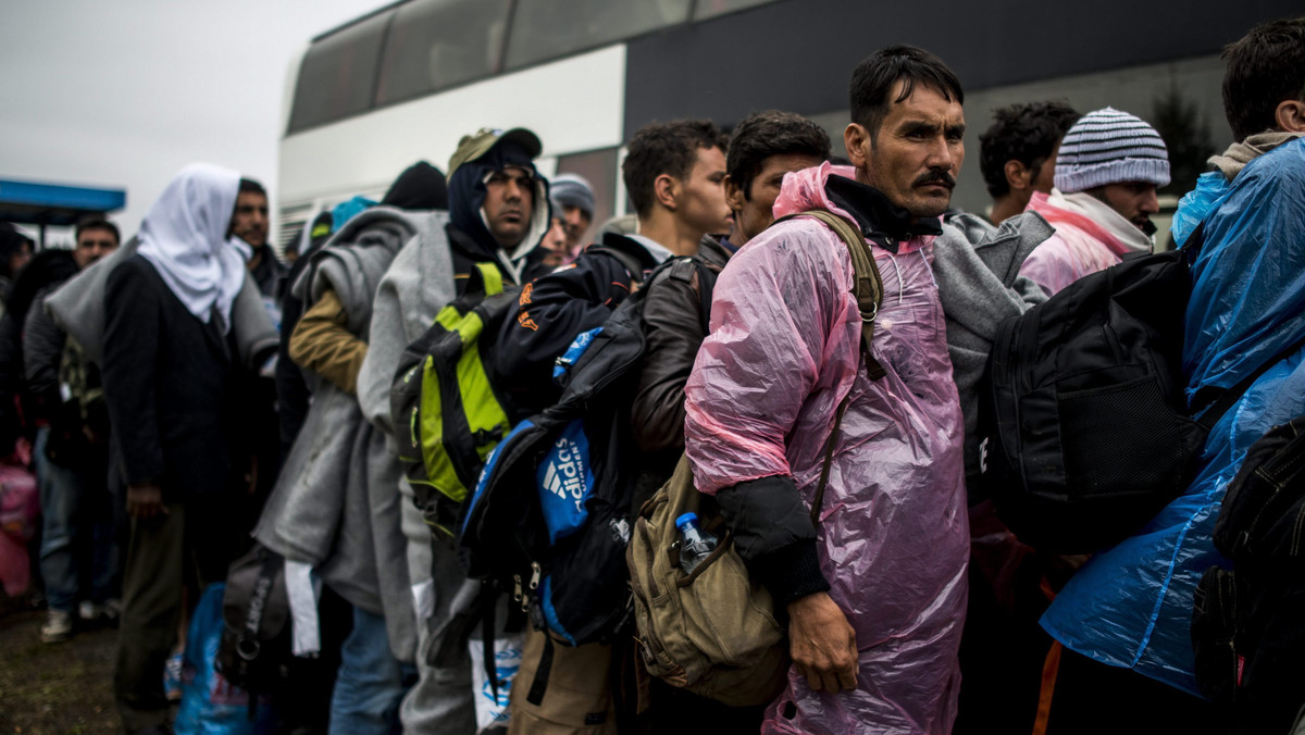 Prawie 10 tys. migrantów wjechało wczoraj do Chorwacji - poinformowało dziś MSW tego kraju. Jest to nowa rekordowa liczba migrantów przybyłych do Chorwacji w ciągu jednego dnia, od kiedy zaczęli oni napływać tam przez ostatnie dziesięć dni.
