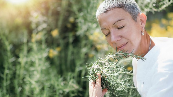 OPADA VAM KOSA i već postajete očajni? Rešenje može biti jednostavnije nego što mislite, a EVO u čemu se krije ključ uspeha