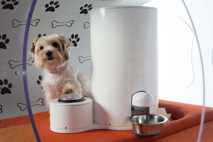 Samsung Dream Doghouse - wymarzona buda dla psa Samsunga