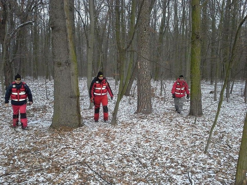 Poszukiwania Romana Pawłowskiego