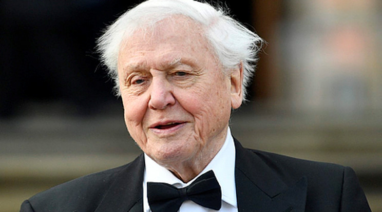 Sir David Attenborough visszaemlékezett az életére / Fotó: MTI/EPA/Neil Hall