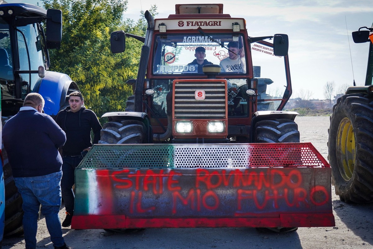 Protesty rolników