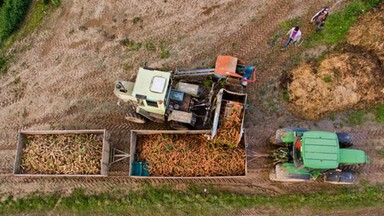 Podkarpackie: 5 tys. ton karmy na zimowe dokarmianie zwierząt