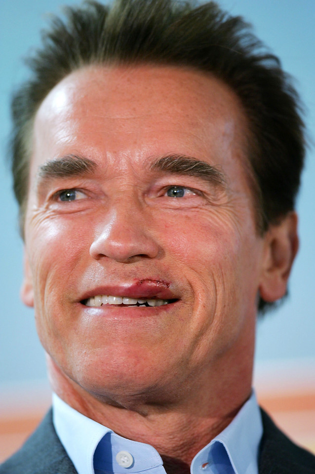 Arnold Schwarzenegger w 2006 roku