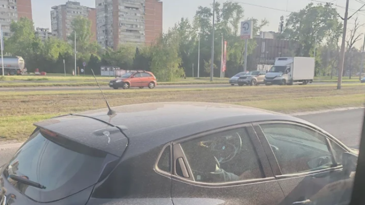 (FOTO) ŠOK U BEOGRADU, OVO NIJE OBIČNA PRLJAVŠTINA 