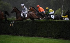 Sacamiro wygrał Wielką Pardubicką. Do mety dobiegło osiem z 18 koni