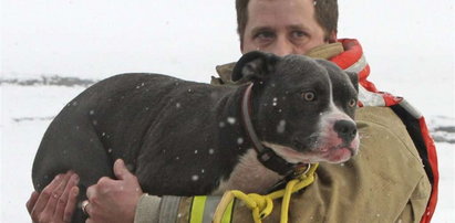 Uratowali psa z lodowatej wody
