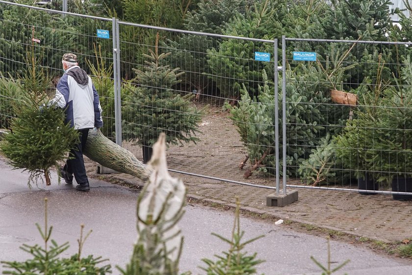 Jak wytargować dobrą cenę za choinkę. Zawodowy negocjator radzi