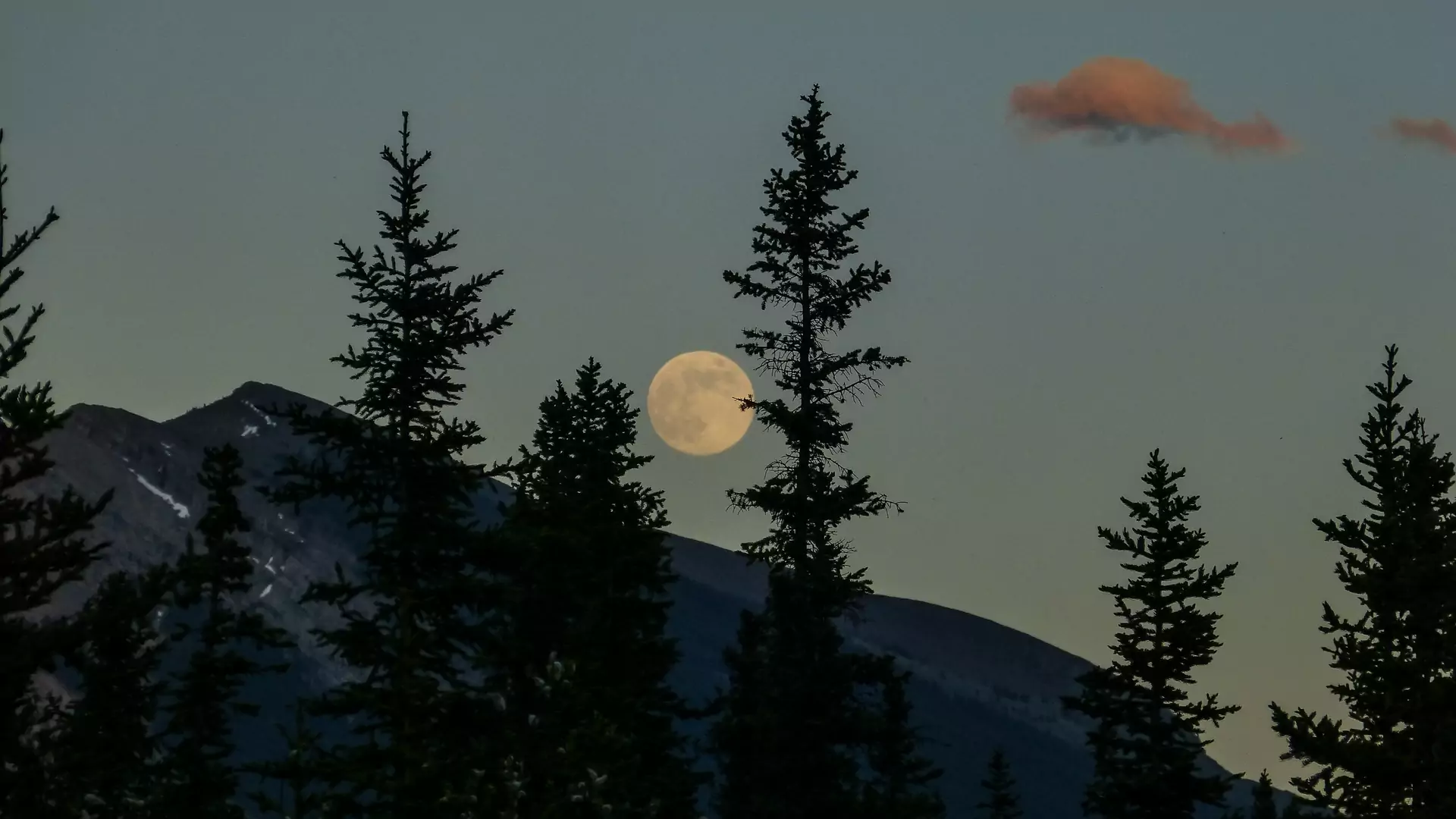 Dziś czeka nas super pełnia Księżyca. Jak wpłynie na nasze samopoczucie i emocje?
