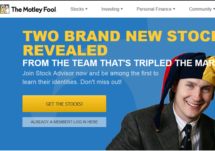 Celem twórców strony jest stworzenie rozległej sieci społecznościowej inwestorów za pomocą takich narzędzi jak strony internetowe, książki, kolumny gazet, rozgłośnie radiowe oraz newslettery. Strona zaoferuje coś dla każdego typu inwestora, począwszy od lekcji dla początkujących, a skończywszy na wskazówkach dla osób zaawansowanych. The Motley Fool zapewni także bezpłatny dostęp do takich funkcji jak np. serwis do wyceny wartości akcji.