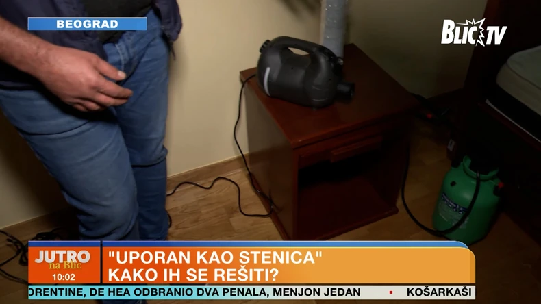Stenice, čišćenje insekata