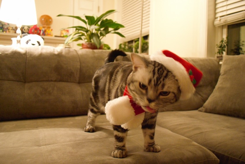 Neko se baš ne raduje tome što je Deda Mraz