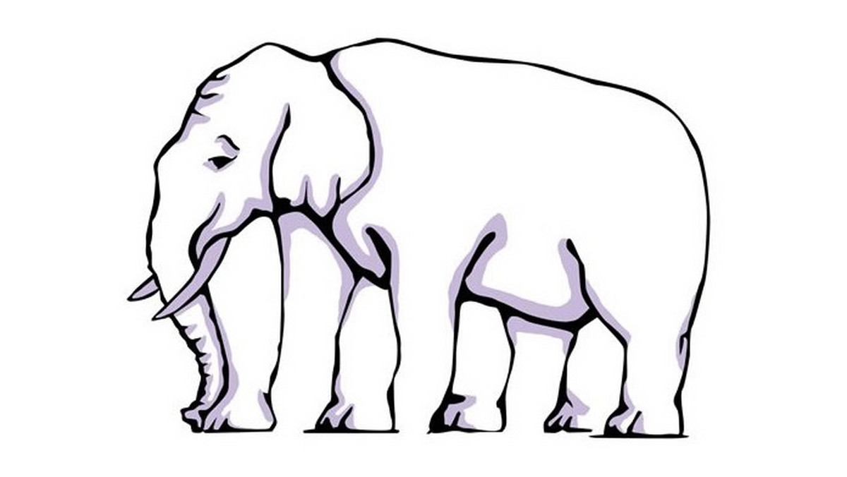 Ile nóg ma słoń? Viralowa zagadka podzieliła internautów