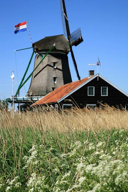 Galeria Holandia - Zaanse Schans, obrazek 16