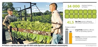 Zakaz stosowania dodatków do papierosów to utrata miejsc pracy dla polskich rolników