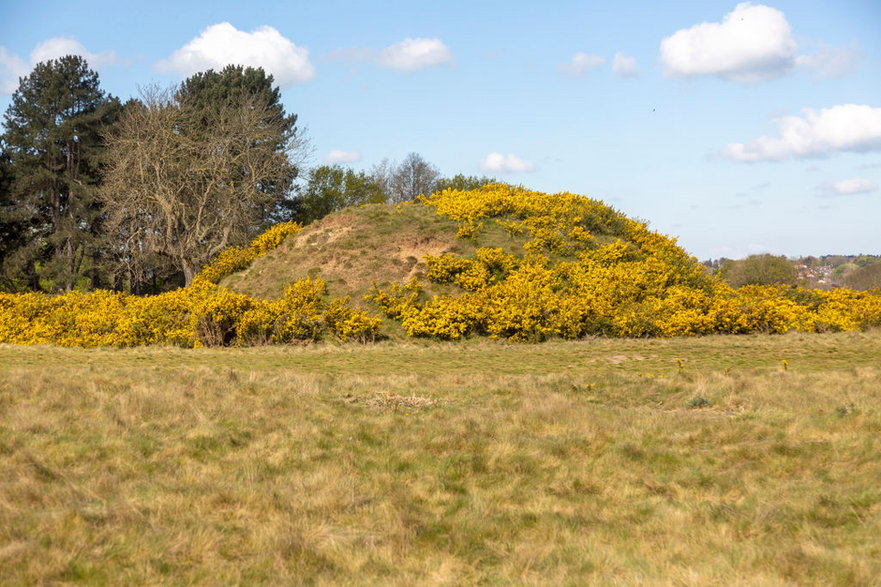 Sutton Hoo / Fot. Geography Photos/UCG/Universal Images Group via Getty Images