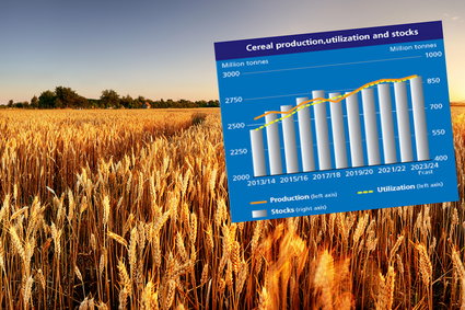 Historyczny rekord produkcji zbóż na świecie. Ceny już idą w dół