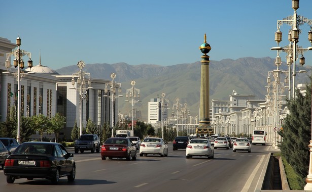 Nauczyciele, lekarze i urzędnicy w Turkmenistanie będą zbierać w weekendy bawełnę