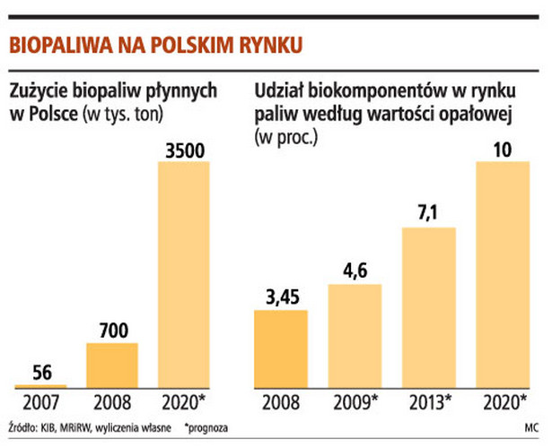 Biopaliwa na polskim rynku