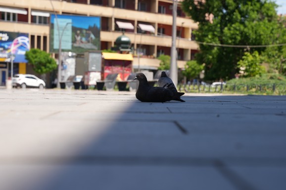 (FOTO) "KAO DA IMA 50 STEPENI" Sablasne scene iz ovog grada u Srbiji: Ulice i kafići skoro potpuno prazni