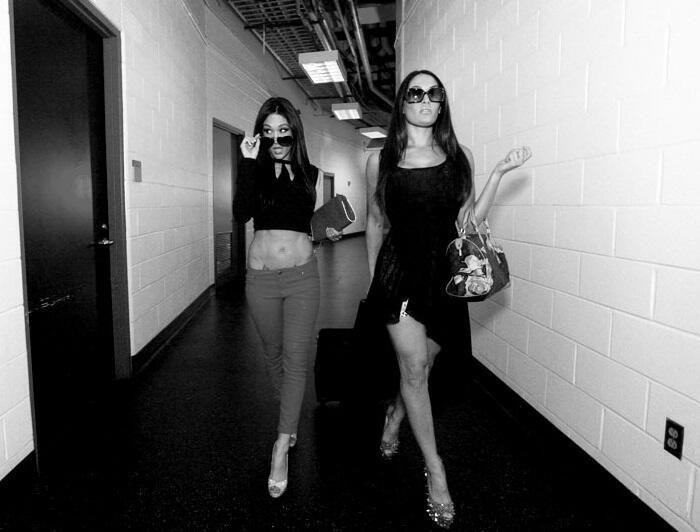 The Bella Twins