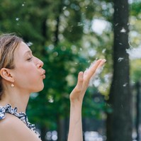 Okozhat-e allergiát a levegőben keringő nyárfaszösz?
