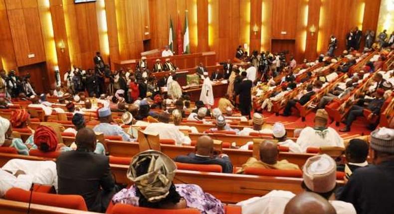 The Nigerian senate during plenary. [Punch]