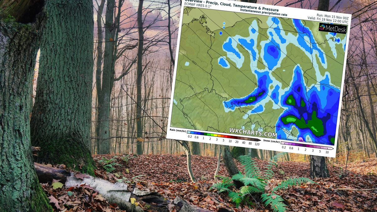 Pogoda tygodniowa. Im bliżej weekendu, tym temperatura będzie coraz wyższa