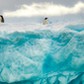 Penguins on the iceberg