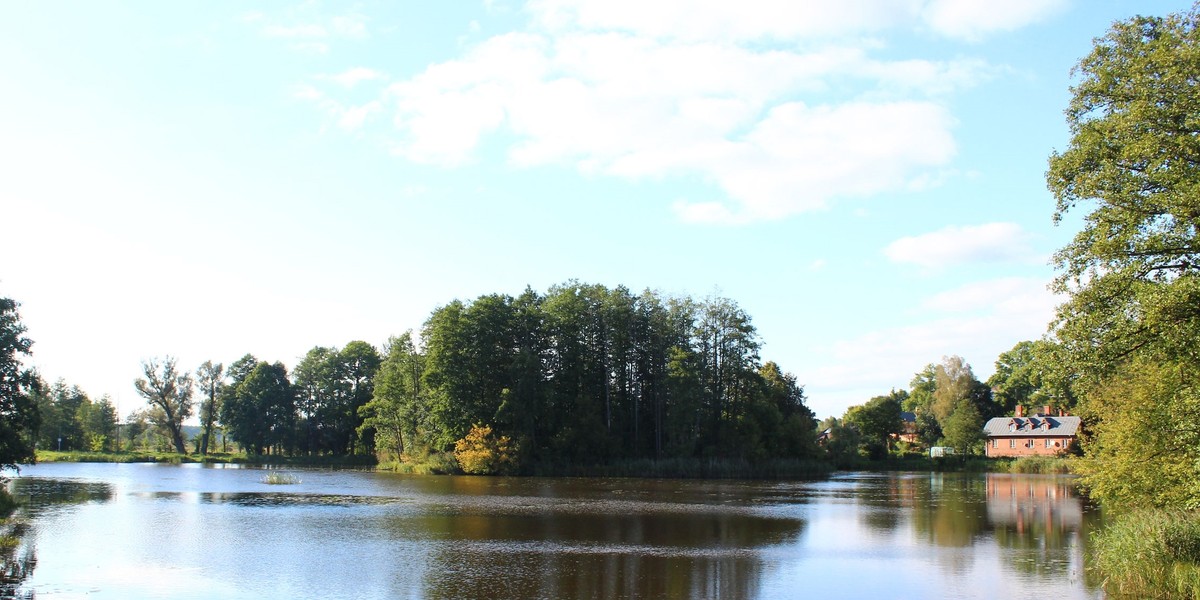 Park Pałacowy