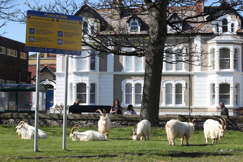 Llandudno