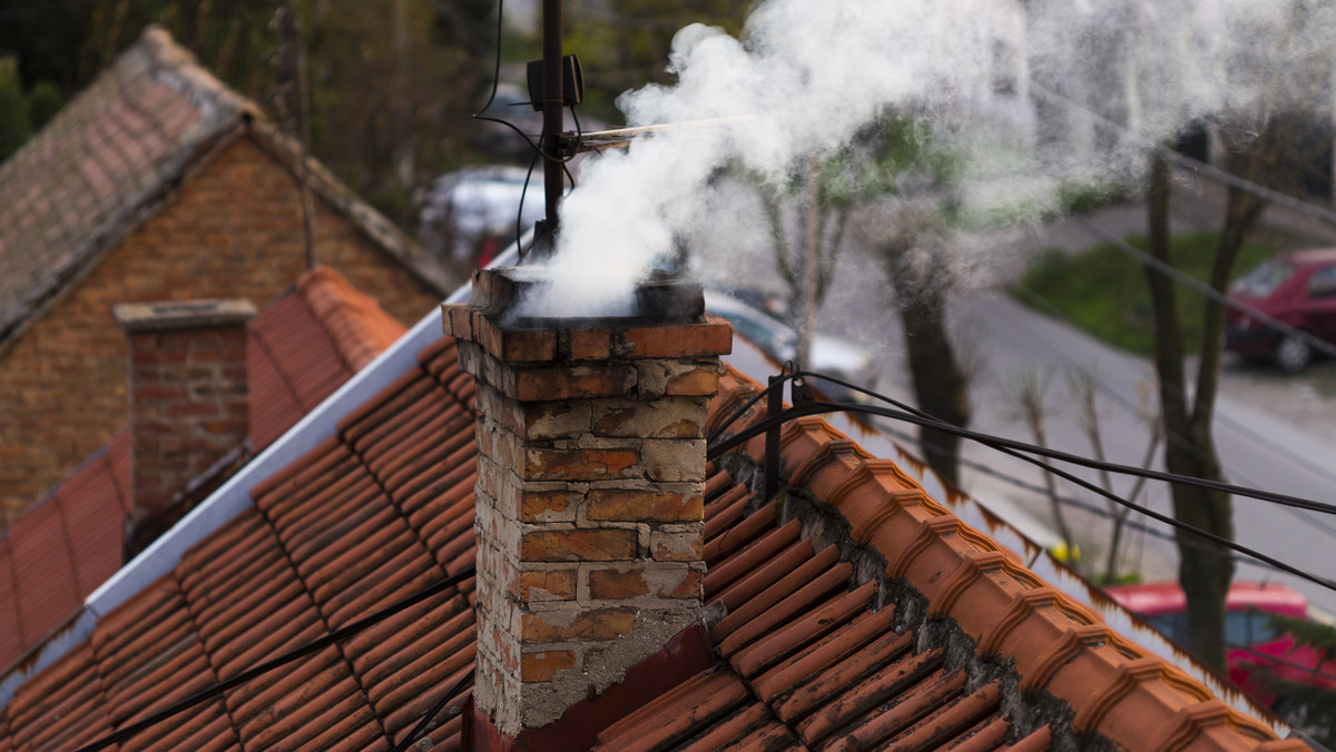 14 przypadków ukarania mandatami osób palących w piecach, które zanieczyszczały powietrze w Świdniku. W ostatnich dniach wykryto trzy drastyczne przypadki - podaje miejski portal Świdnik.pl