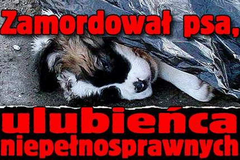 Zamordował psa, ulubieńca niepełnosprawnych