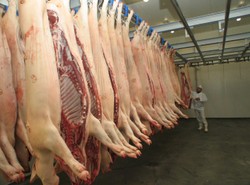 Skażone mięso w Polsce. Gdzie je sprzedawali?