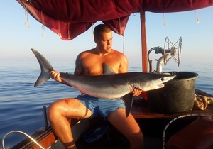 647151_ajkula1-foto-dusan-novakovic