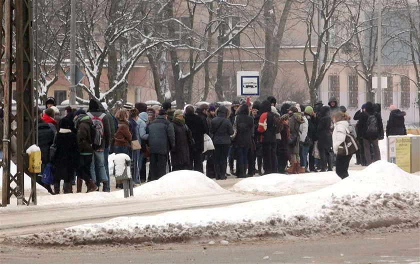 Dyrektorze ZDiT: Nie zabieraj nam autobusów i tramwajów