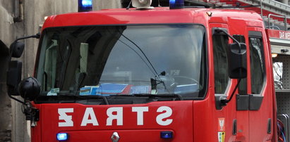 Strażacy walczyli z ogniem pod Wrocławiem